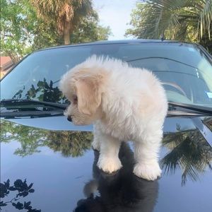 Meet your Posher, Yaneth